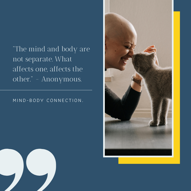 Mind Body Quote. The Mindy Body are not separate. What affects one affects the other